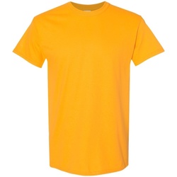 Vêtements Homme T-shirts manches courtes Gildan 5000 Jaune vif
