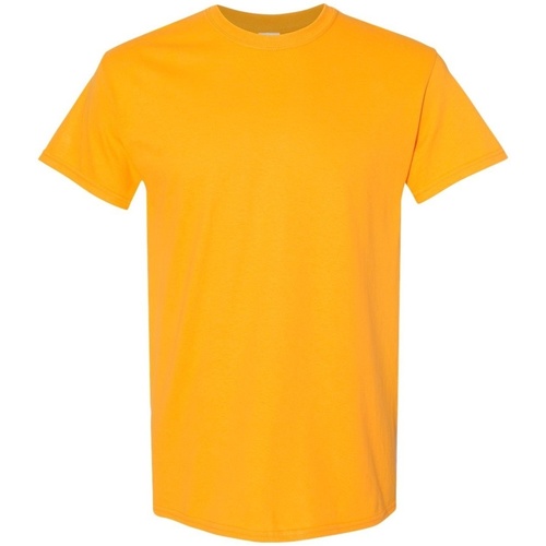 Vêtements Homme T-shirts manches courtes Gildan 5000 Multicolore