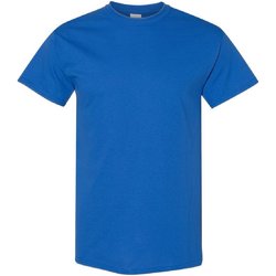 Vêtements Homme T-shirts manches courtes Gildan 5000 Bleu roi