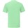 Vêtements Homme T-shirts manches longues Fruit Of The Loom 61430 Vert