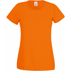Vêtements Femme T-shirts manches courtes Fruit Of The Loom 61372 Orange