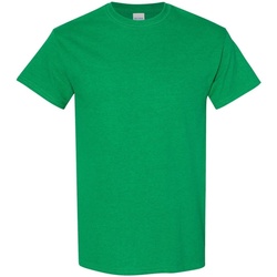 Vêtements Homme T-shirts manches courtes Gildan 5000 Vert chiné
