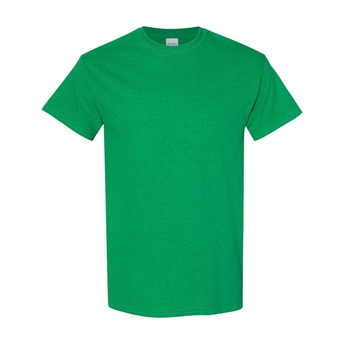 Vêtements Homme T-shirts manches courtes Gildan 5000 Vert