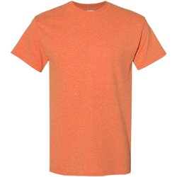 Vêtements Homme T-shirts manches courtes Gildan 5000 Orange clair