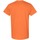 Vêtements Homme T-shirts manches courtes Gildan 5000 Orange
