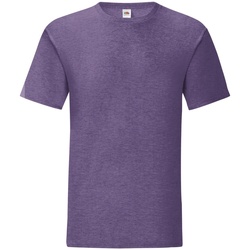 Vêtements Homme T-shirts manches courtes Fruit Of The Loom 61430 Violet chiné