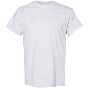Vêtements Homme T-shirts manches courtes Gildan 5000 Gris clair