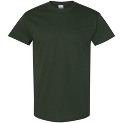 Vêtements Homme T-shirts manches courtes Gildan 5000 Vert forêt