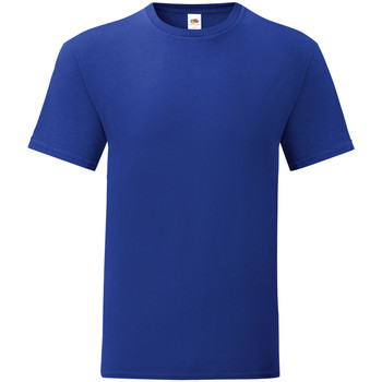 Vêtements Homme T-shirts manches courtes The North Facem 61430 Bleu