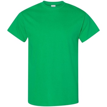 Vêtements Homme T-shirts manches courtes Gildan 5000 Vert vif