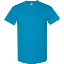 Vêtements Homme T-shirts manches courtes Gildan 5000 Saphir