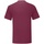 Vêtements Homme T-shirts manches longues Fruit Of The Loom 61430 Multicolore