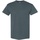 Vêtements Homme T-shirts galahm manches courtes Gildan 5000 Gris