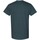 Vêtements Homme T-shirts galahm manches courtes Gildan 5000 Gris