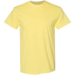 Vêtements Homme T-shirts manches courtes Gildan 5000 Jaune clair