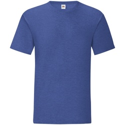 Vêtements Homme T-shirts manches courtes Fruit Of The Loom 61430 Bleu roi chiné