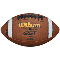 Accessoires Accessoires sport Wilson Ballon de Football Americain G Multicolore
