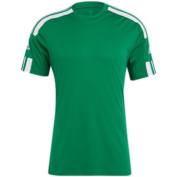 Vêtements Homme T-shirts manches courtes mist adidas Originals Squadra 21 Vert