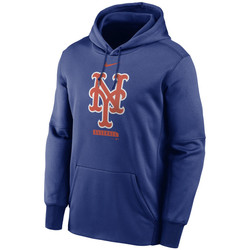 Vêtements Sweats sheet nike Sweat à capuche MLB New York M Multicolore