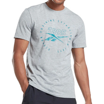 Vêtements Homme T-shirts manches courtes Reebok Sport FP9133 Gris
