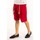 Vêtements Homme Shorts / Bermudas Takeshy Kurosawa 83026 Rouge