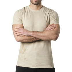 Vêtements Homme T-shirts manches courtes Reebok Winter Sport DU3781 Beige