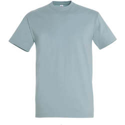 Vêtements Femme T-shirts manches courtes Sols IMPERIAL camiseta color azul glaciar Bleu