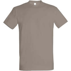 Vêtements Femme T-shirts manches courtes Sols IMPERIAL camiseta color Gris Claro Gris