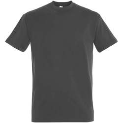Vêtements Femme T-shirts manches courtes Sols IMPERIAL camiseta color Gris Oscuro Gris