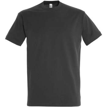 Vêtements Femme T-shirts manches courtes Sols IMPERIAL camiseta color Gris Ratón Gris