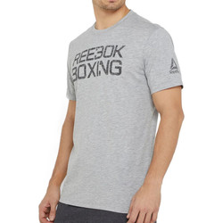 Vêtements Homme T-shirts manches courtes Reebok ENG Sport DQ1973 Gris