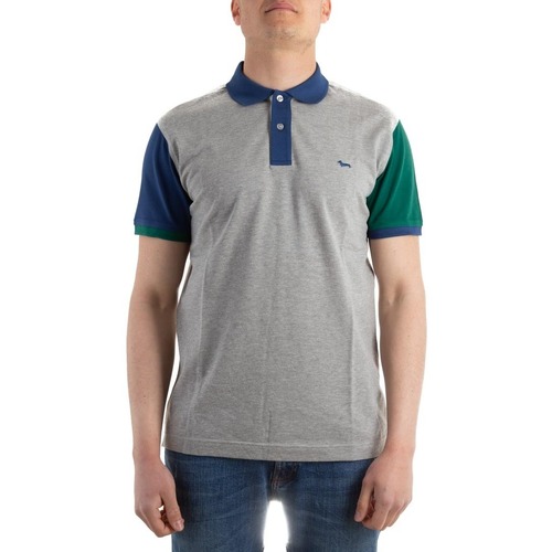 Vêtements Homme T-shirts & Polos polo ralph lauren logo varsity jacket LRF190021054 Gris