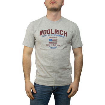 Vêtements Homme T-shirts & Polos Woolrich W0TEE1158 Gris