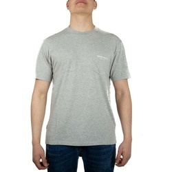 Vêtements Homme T-shirts manches courtes Woolrich WOTE0037MR grigio