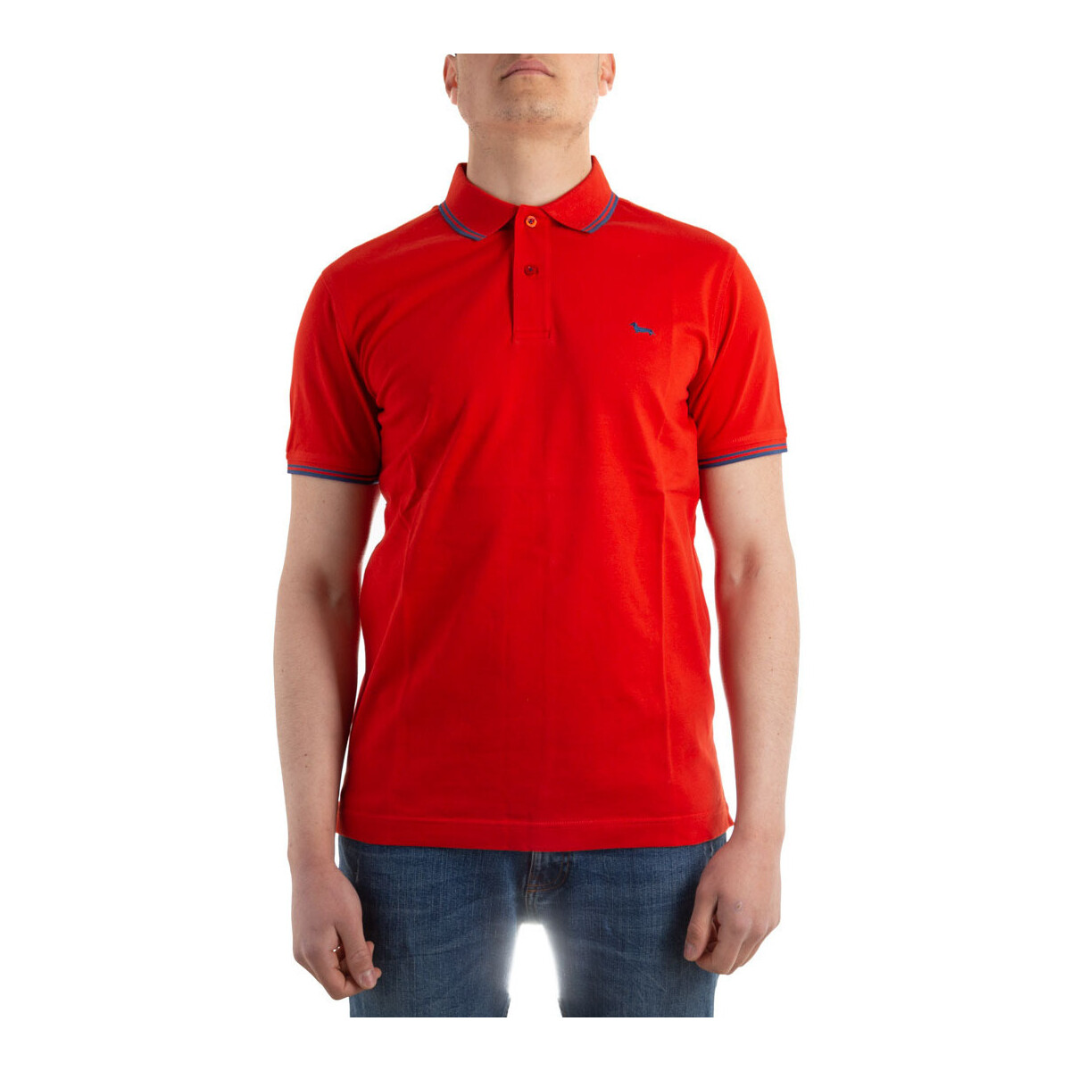 Vêtements Homme T-shirts & Polos Harmont & Blaine LNF010021054 Rouge