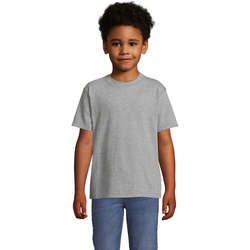 Vêtements Enfant T-shirts linen manches courtes Sols Camista infantil color Gris Gris