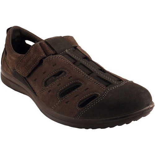 Chaussures Homme Sandales et Nu-pieds Grisport -41634 Noir