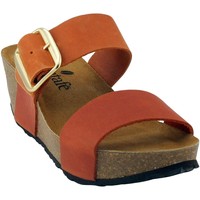 Chaussures Femme Sandales et Nu-pieds Santafe Santafé-Santa Sun Orange
