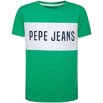 Vêtements Garçon T-shirts manches courtes Pepe JEANS straight  Vert