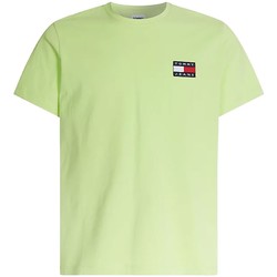 Vêtements Homme T-shirts manches courtes Tommy Jeans T-shirt  ref 53211 LT3 Multi Vert