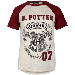 Vêtements Fille T-shirts manches courtes Harry Potter  Beige / Bordeaux