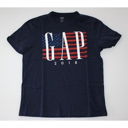 Vêtements Homme T-shirts manches courtes Gap T-shirt Gap Bleu