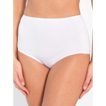 Sous-vêtements Femme Culottes & slips Daxon by  - Lot de 3 culottes maxi Blanc