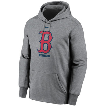 Vêtements Sweats Nike Sweat à capuche MLB Boston Red Multicolore