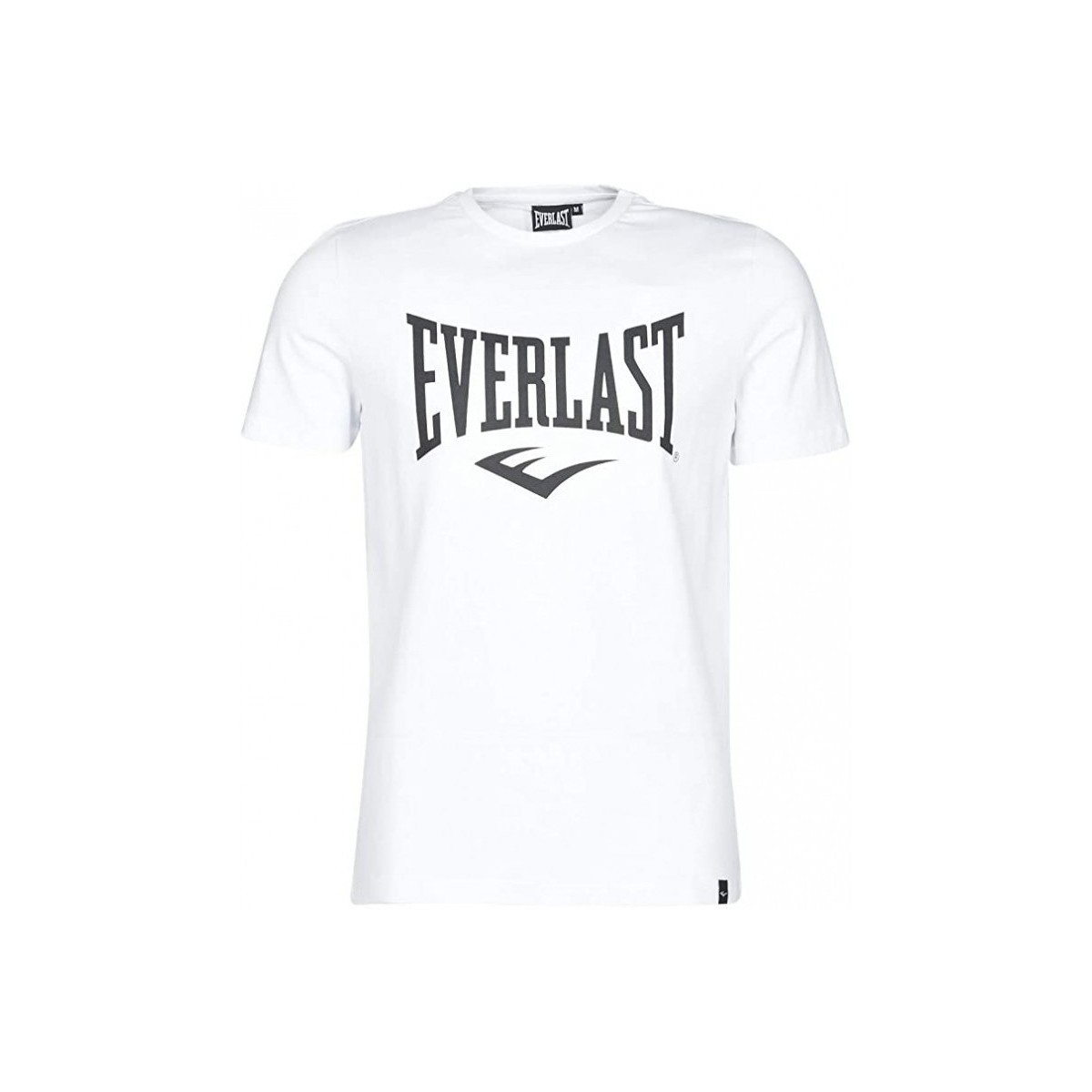Vêtements Homme T-shirts & Polos Everlast Tee Shirt 807580-60 Blanc Blanc