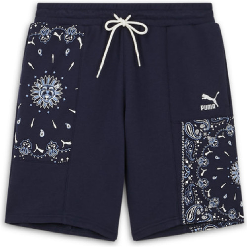 Vêtements Homme Shorts / Bermudas Puma Short  FD  PAISLEY Bleu