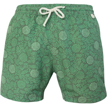 Vêtements Homme Maillots / Shorts de bain Les Loulous De La Plage Short de bain homme MONTAUK Fougère Vert