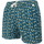 Vêtements Homme Maillots / Shorts de bain Les Loulous De La Plage Montauk 740 Optical Print - Maillot Short de bain homme Vert