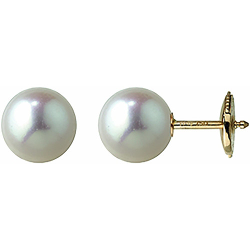 Brillaxis Boucles d'oreilles or perles akoya du japon 8 mm Jaune - Montres  & Bijoux Boucles d'oreilles Femme 499,00 €