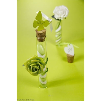 Maison & Déco Plantes artificielles Artificielles Eprouvette avec bouchon de liege a garnir en verre 